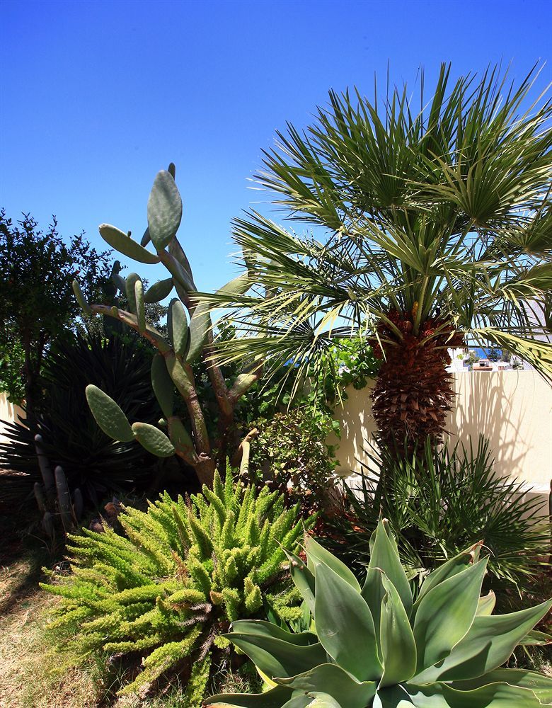 Eurohotel Katrin Hotel & Bungalows (Adults Only) Heraklion Exterior foto