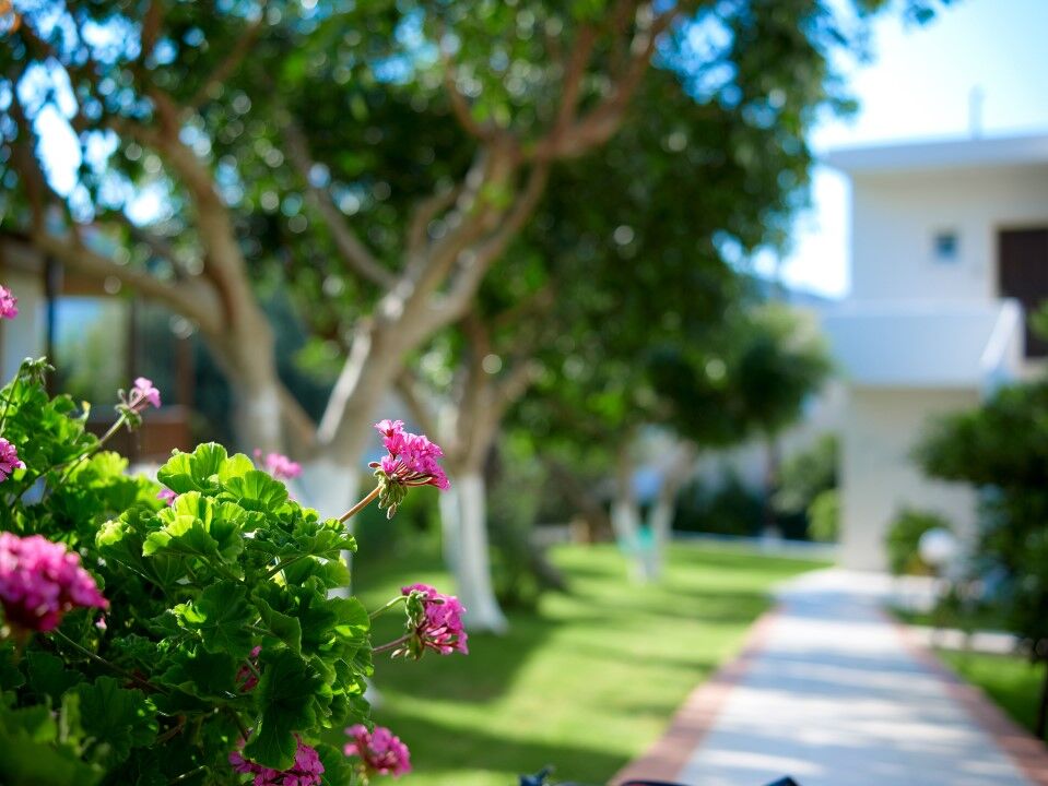 Eurohotel Katrin Hotel & Bungalows (Adults Only) Heraklion Exterior foto